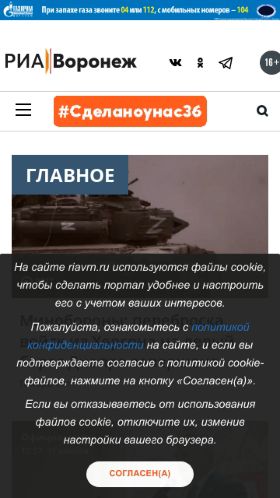 Screenshot cайта riavrn.ru на мобильном устройстве