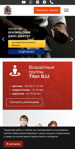 Screenshot cайта titanbjj.ru на мобильном устройстве
