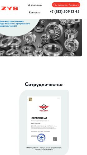Screenshot cайта zys-russia.ru на мобильном устройстве
