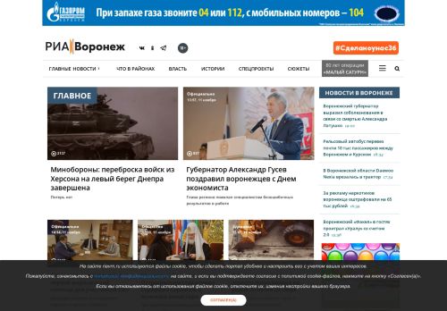 Screenshot сайта riavrn.ru на компьютере